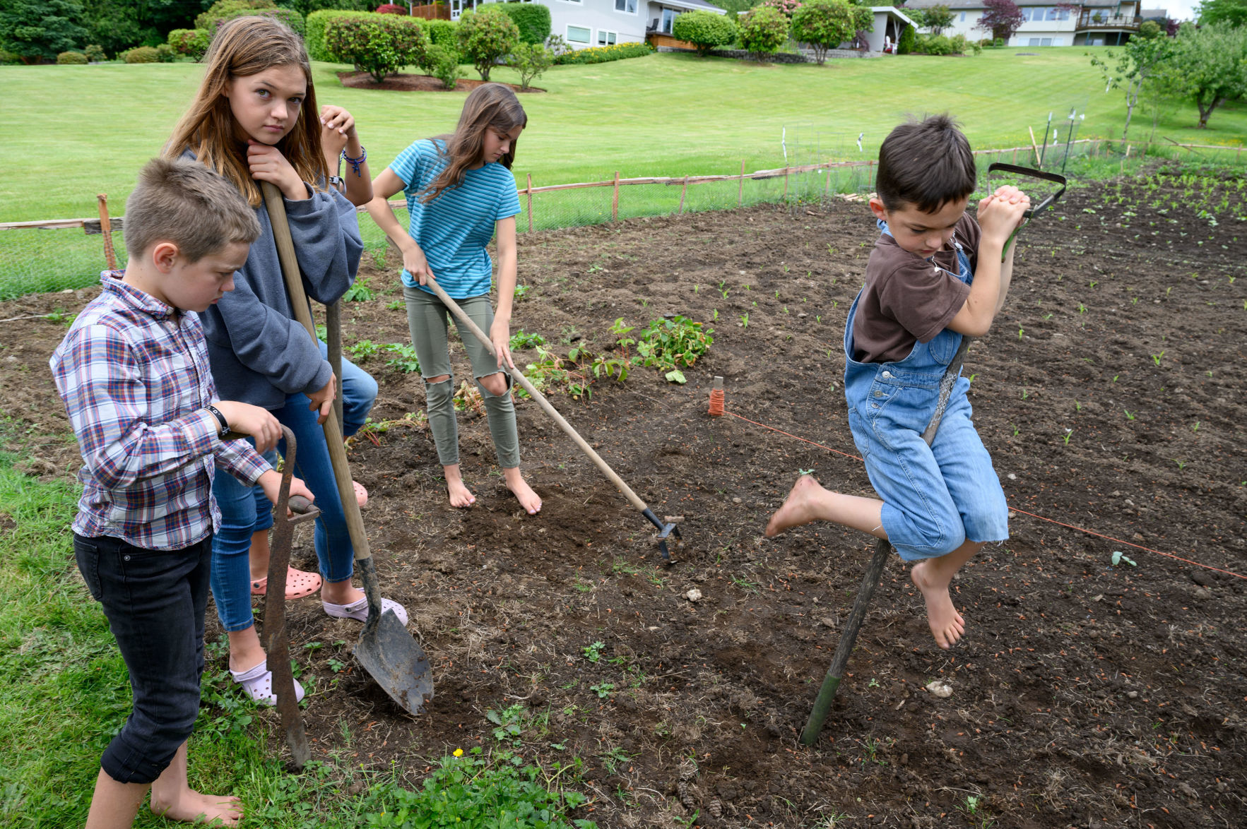 Conway Community Garden 1